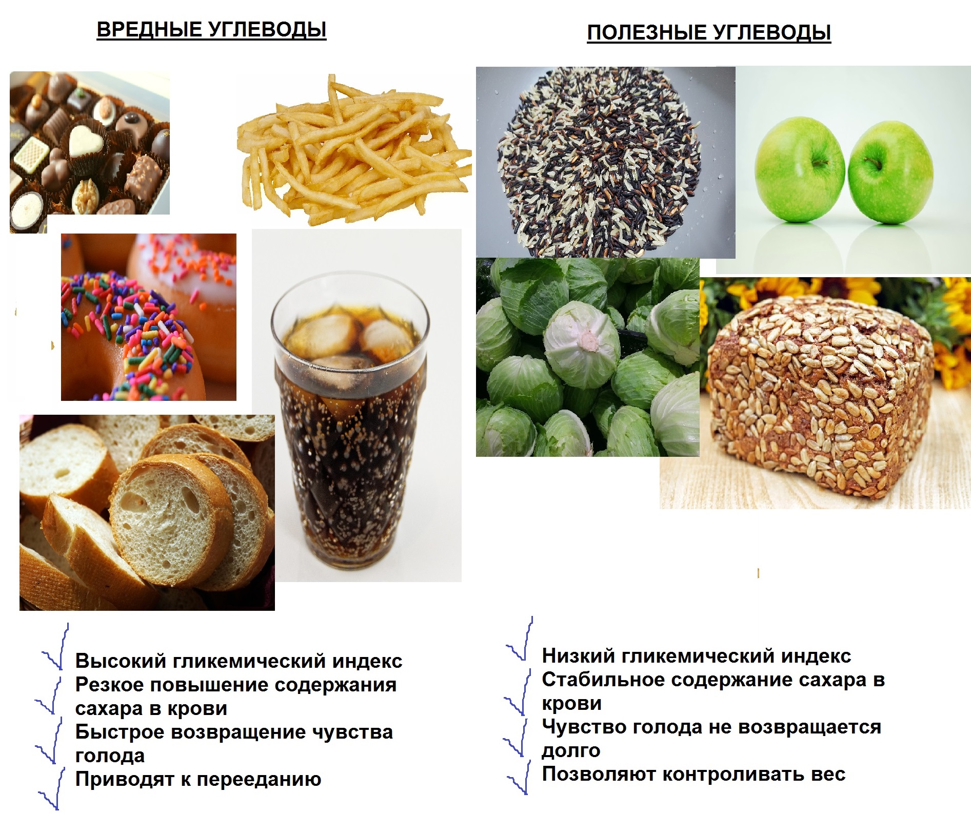 Продукты питания богатые углеводами (топ-100 натуральных источников)