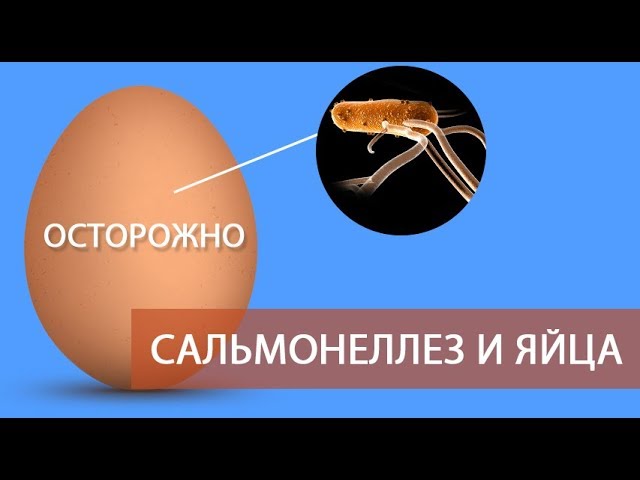 Почему нужно мыть яйца