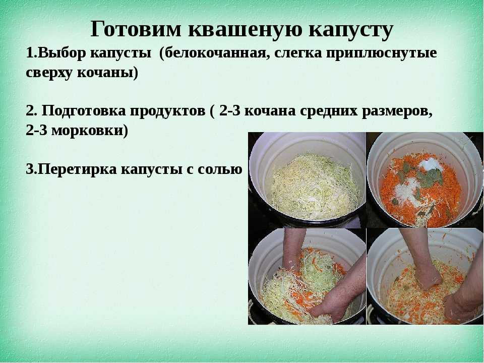 Как квасить капусту в домашних условиях на зиму в банке: рецепты