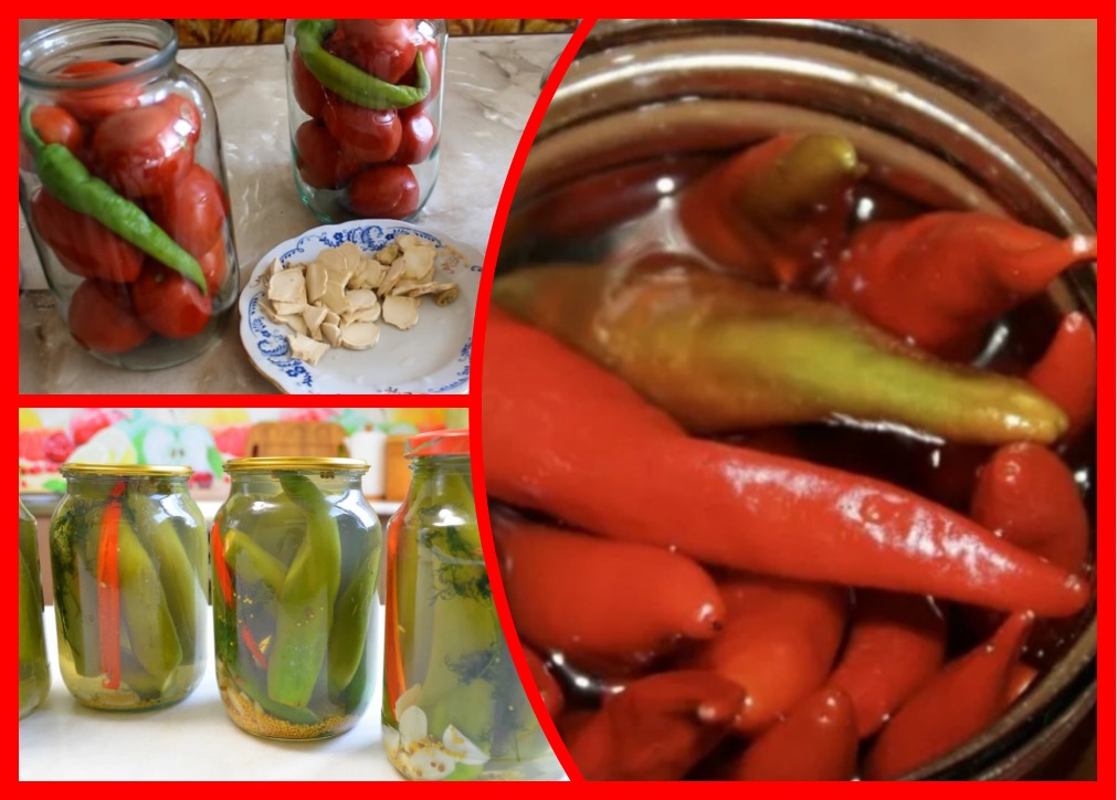 Перец фаршированный сыром: рецепт закуски