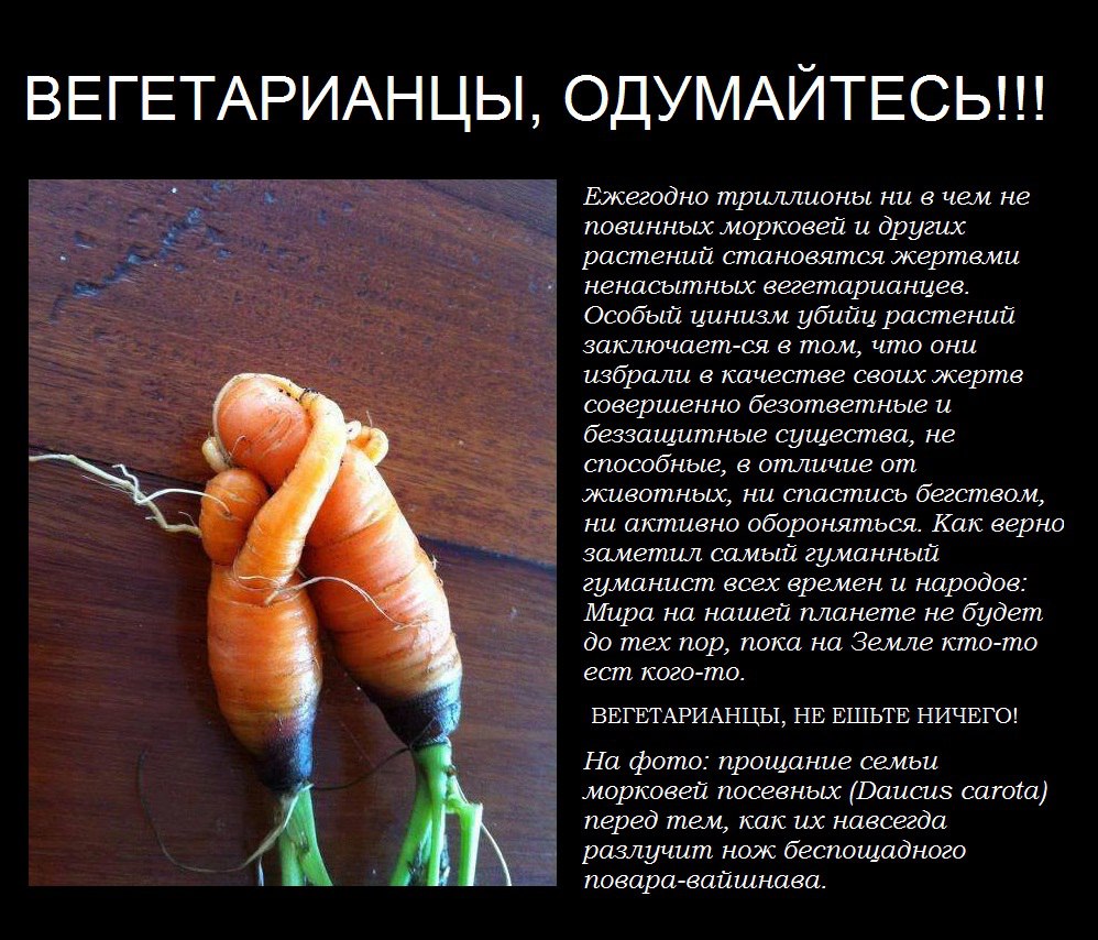Секреты приготовления веганского мороженого