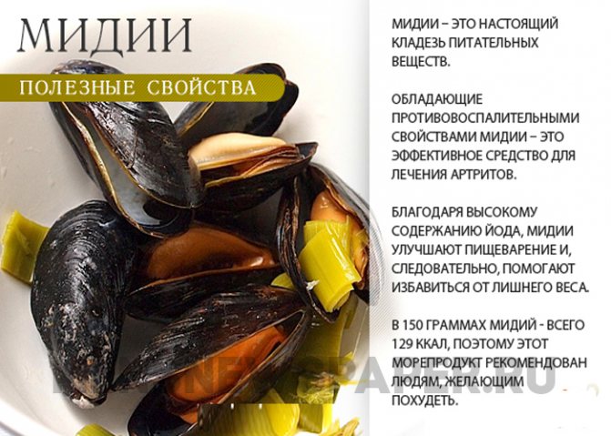 Как правильно есть устрицы в ресторане и дома