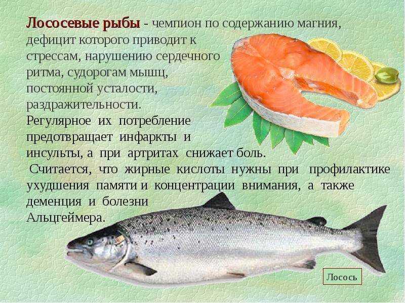 Какая красная рыба лучше для засолки: сравниваем виды лосося