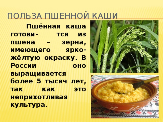 Пшено