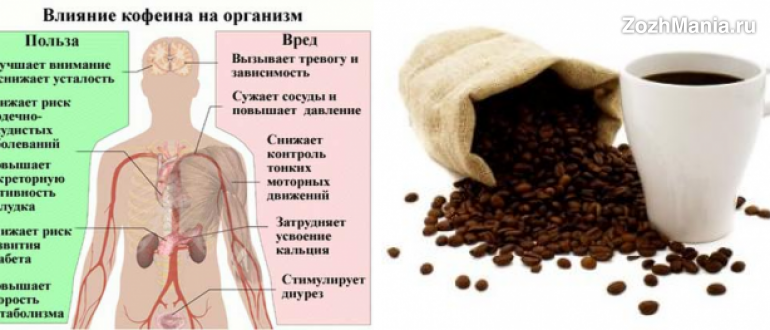 Зеленый кофе для похудения: виды, способы применения, польза и вред
