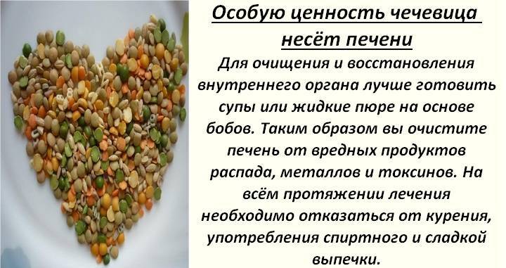 Чечевица: польза и вред царицы бобовых. достоверные факты о чечевице, пользе и вреде этого удивительного подарка природы - автор екатерина данилова - журнал женское мнение