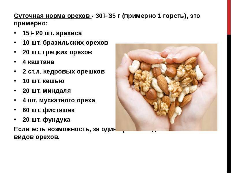Польза арахиса для организма: 120 фото и обзор полезных элементов в составе арахиса