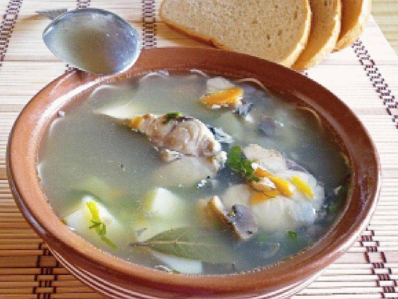 Уха из свежемороженой скумбрии – пошаговый рецепт с фото