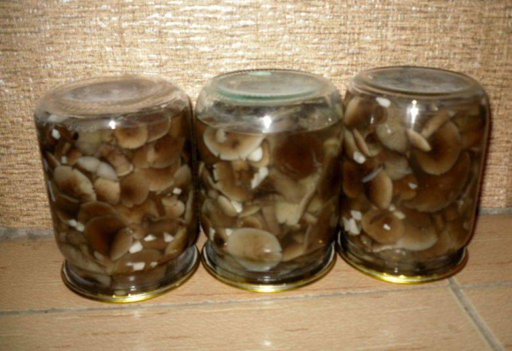 Маринованные опята – 6 рецептов приготовления в домашних условиях