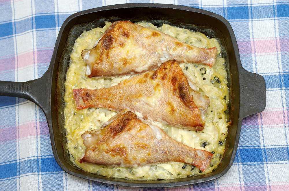 Морской окунь в духовке – как приготовить морского окуня вкусно и просто