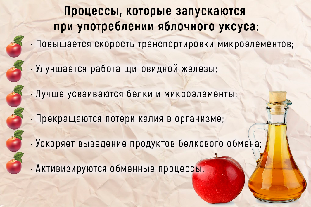 Яблочный уксус: польза, как принимать, как сделать своими руками