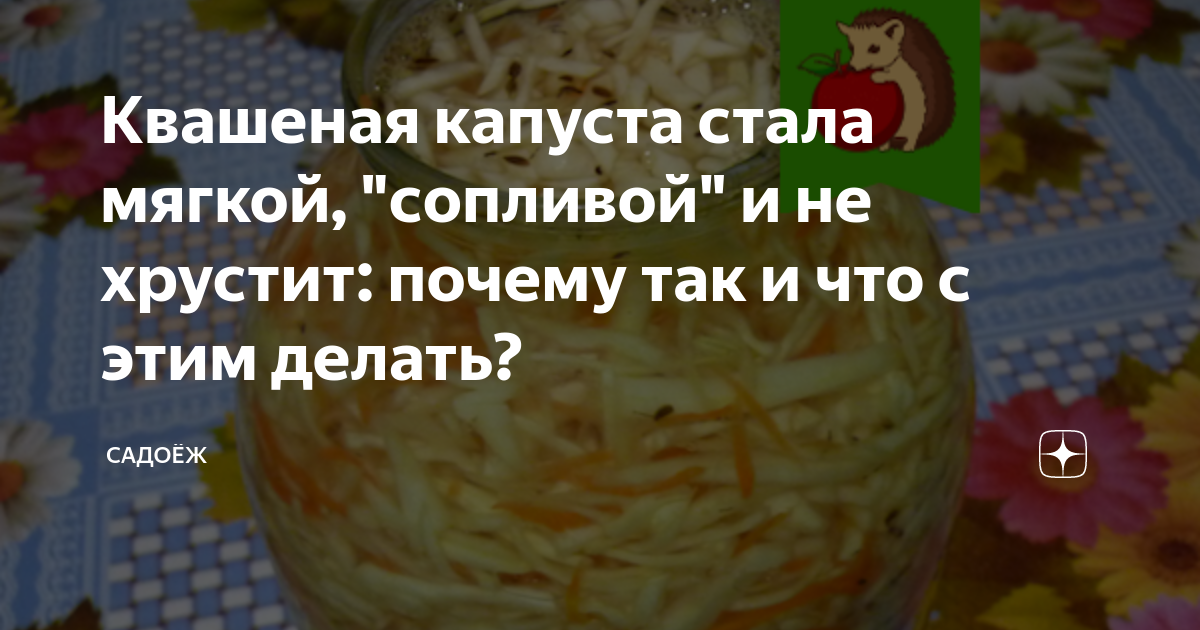 Когда солить капусту в сентябре 2024 года можно и когда не рекомендуется затевать процесс засолки Пошаговые рецепты и советы Как не допустить ошибок