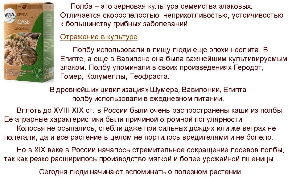Полба: что это за крупа, польза и вред для организма, как и сколько варить кашу