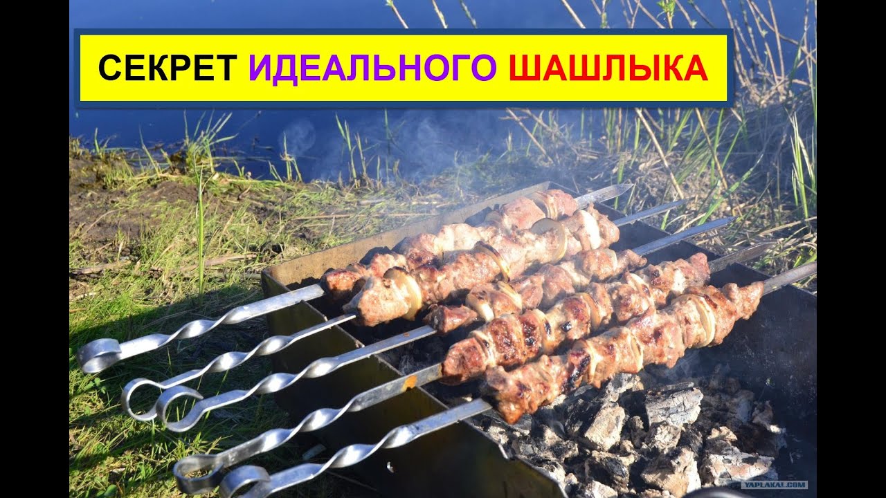 Как приготовить шашлык из свинины на мангале? топ 10 самых вкусных рецептов