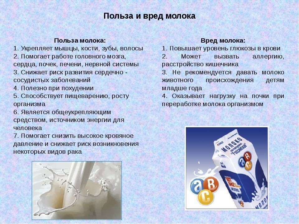 Натуральное цельное молоко. что такое цельное молоко: состав, польза, вред | milklife
