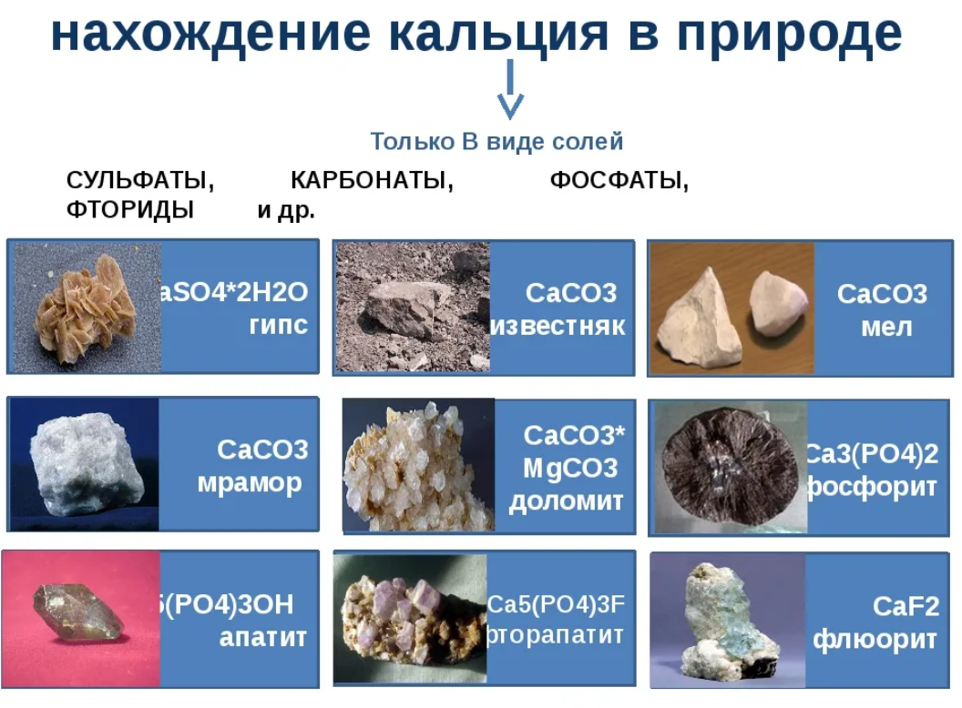 Продукты питания богатые железом, в каких железосодержащих его большое количество, смотреть таблицы и списки на портале мам бэби.ру