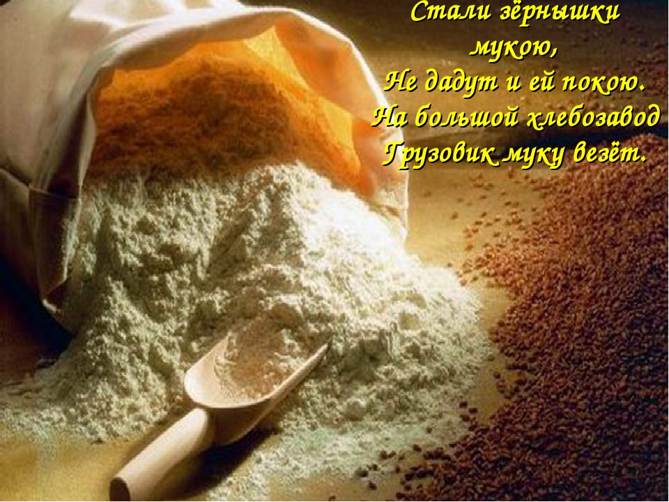 Кукурузная мука: полезные свойства и интересные факты