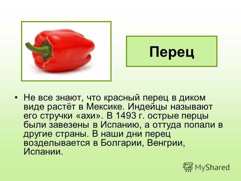 Красный болгарский перец – польза и противопоказания