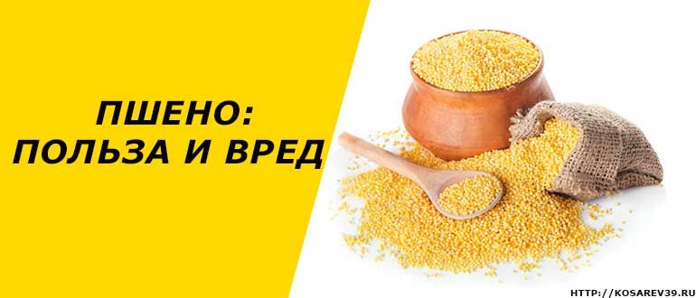 Пшенная каша: польза и вред для организма