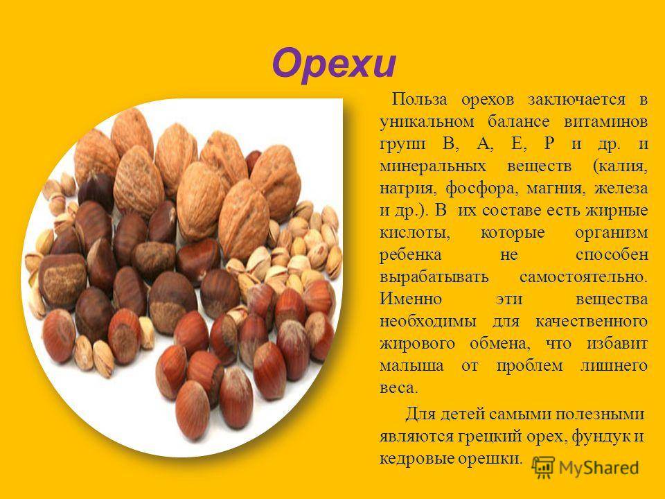 Польза и вред жареного арахиса, правильные способы приготовления