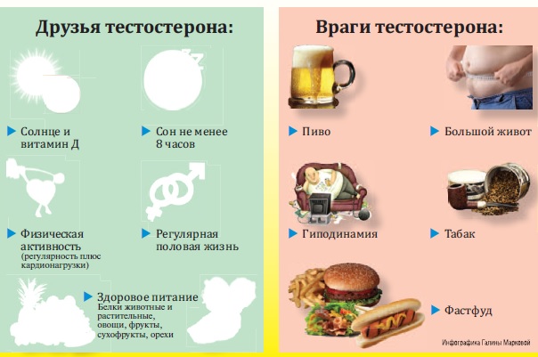 Как повысить уровень тестостерона - wikihow