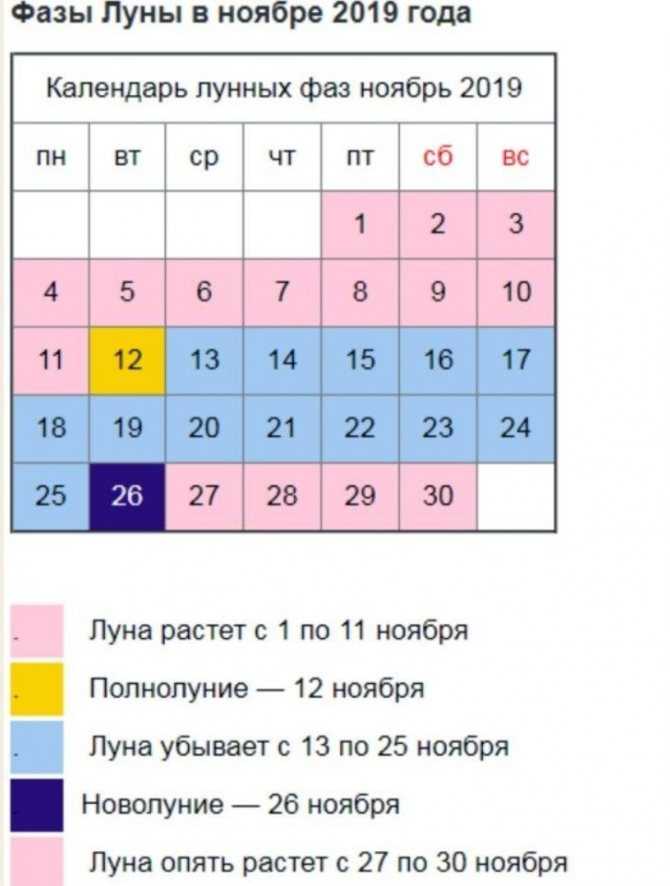 Квашеная капуста на зиму: 10 простых и очень вкусных рецептов приготовления, когда готовить