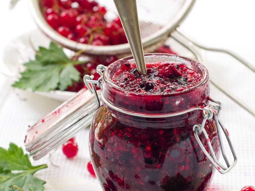 Варенье из красной смородины: 10 простых рецептов на зиму
