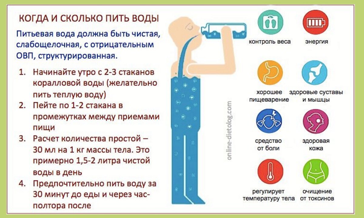 Как правильно пить воду: в течение дня, до или после еды