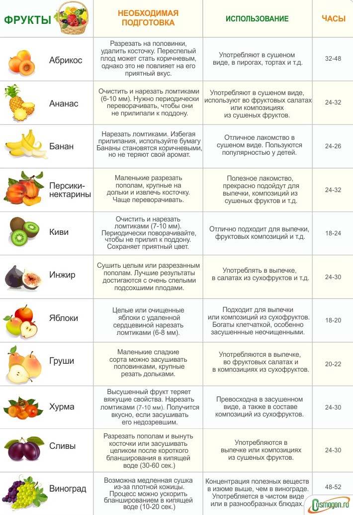 Яблоки - описание, польза и вред для организма, состав, калорийность, рецепты приготовления, фото