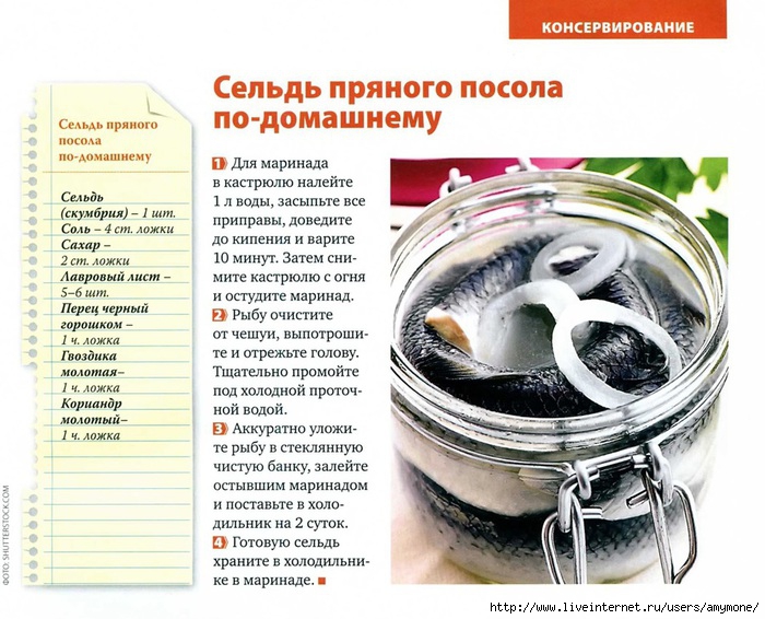 Как солить мойву в домашних условиях, секреты приготовления.