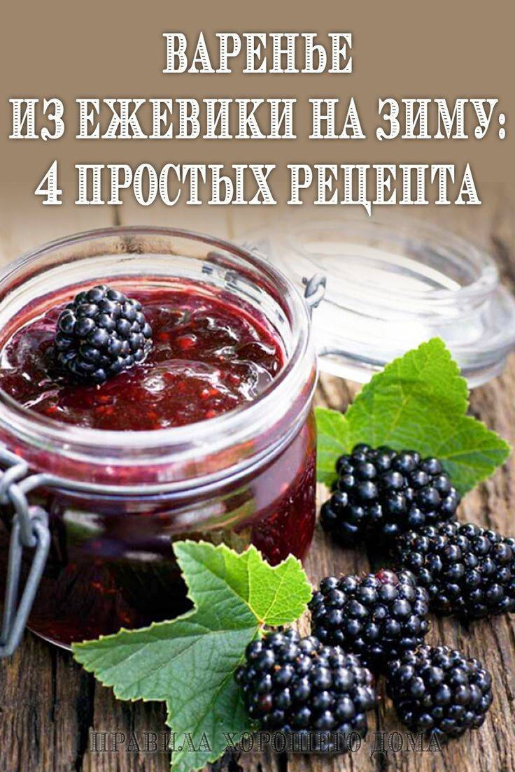 Заготовки на зиму из ежевики