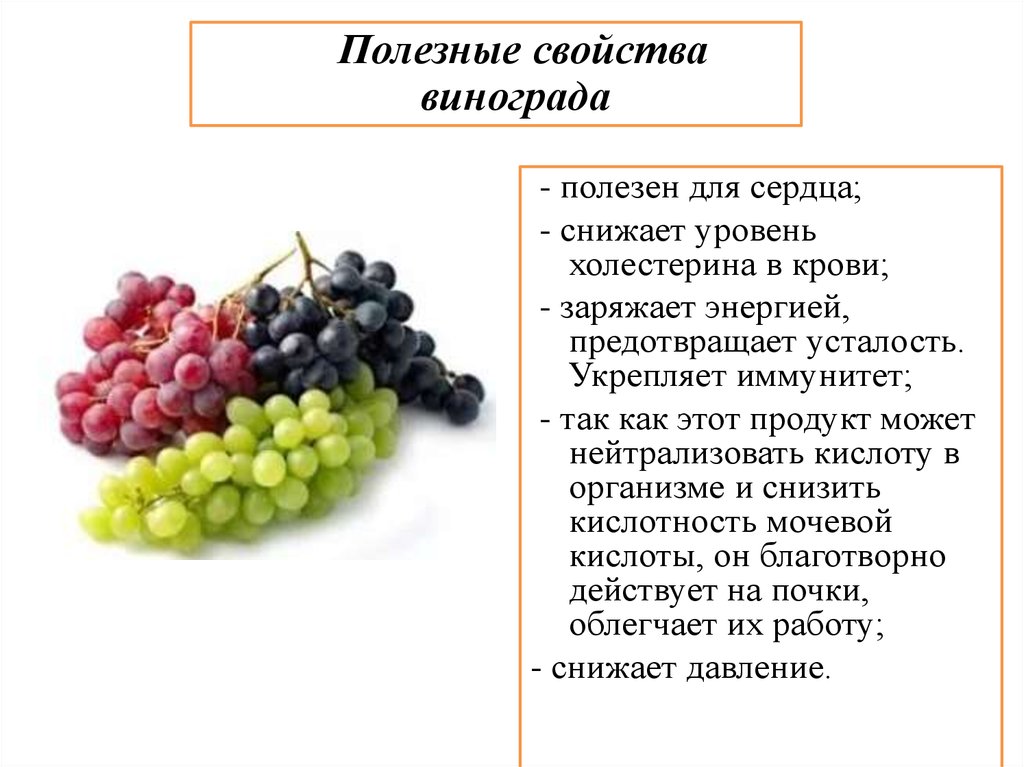 Польза винограда для организма женщины, полезные свойства при заболеваниях и противопоказания, чем полезен виноград для красоты и похудения