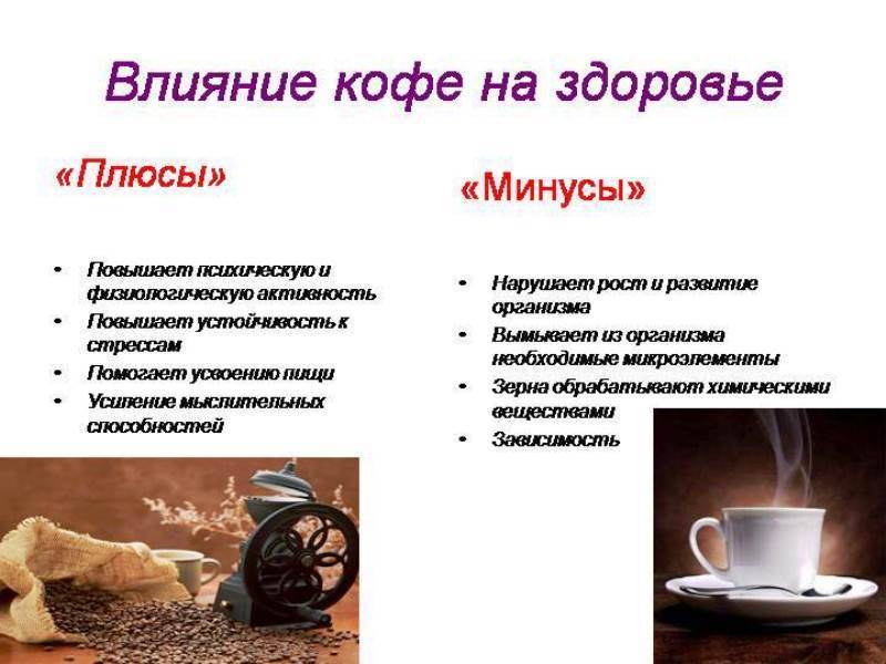 Польза и вред кофе для организма человека - самый полный обзор свойств напитка