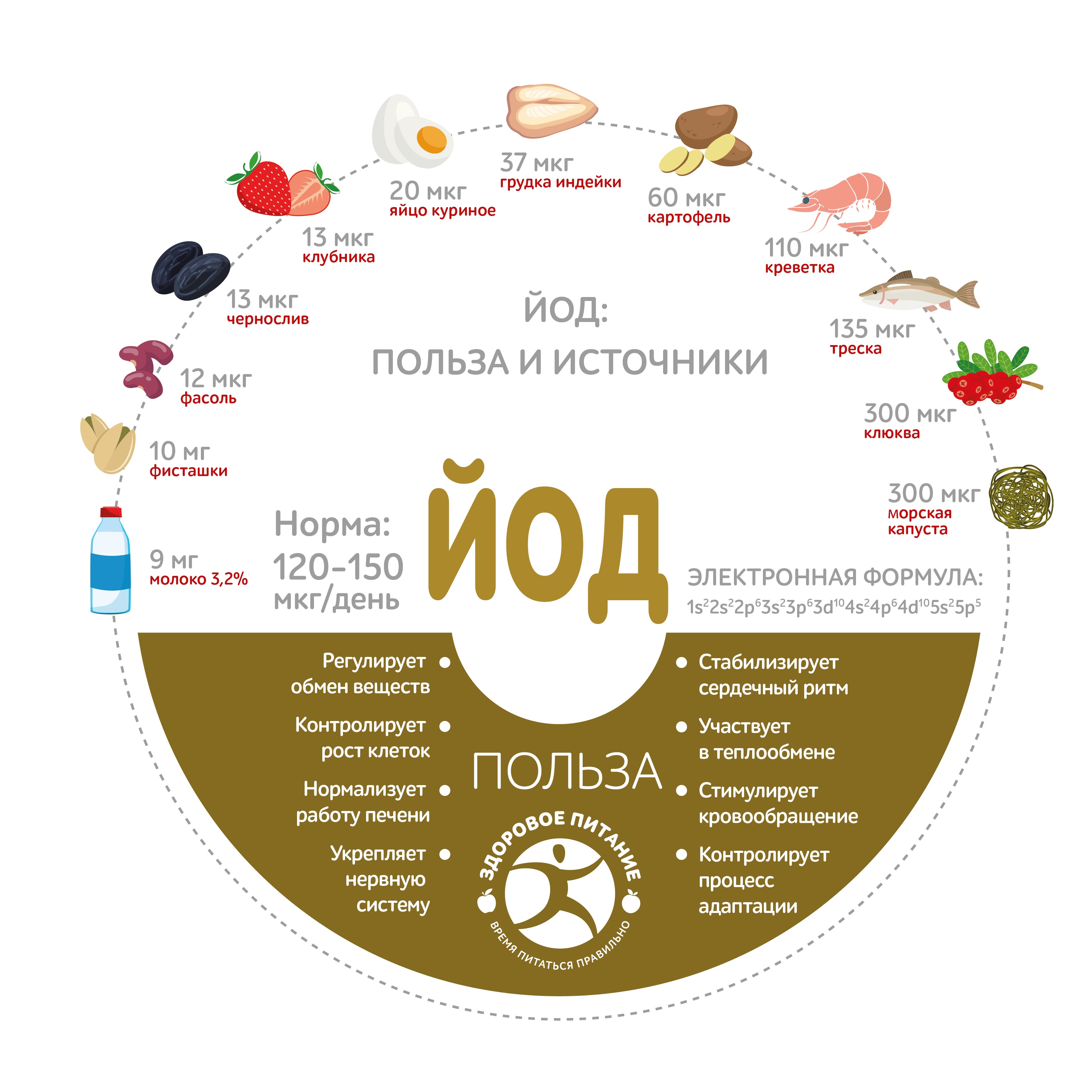22 богатых йодом продукта питания: источники