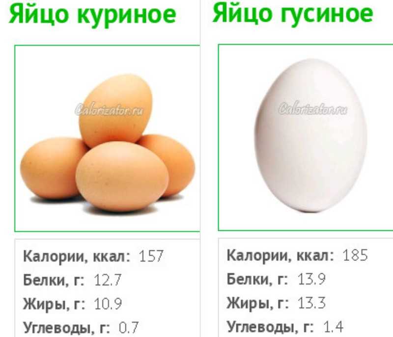 Яйца - калорийность, польза и вред, полезные свойства