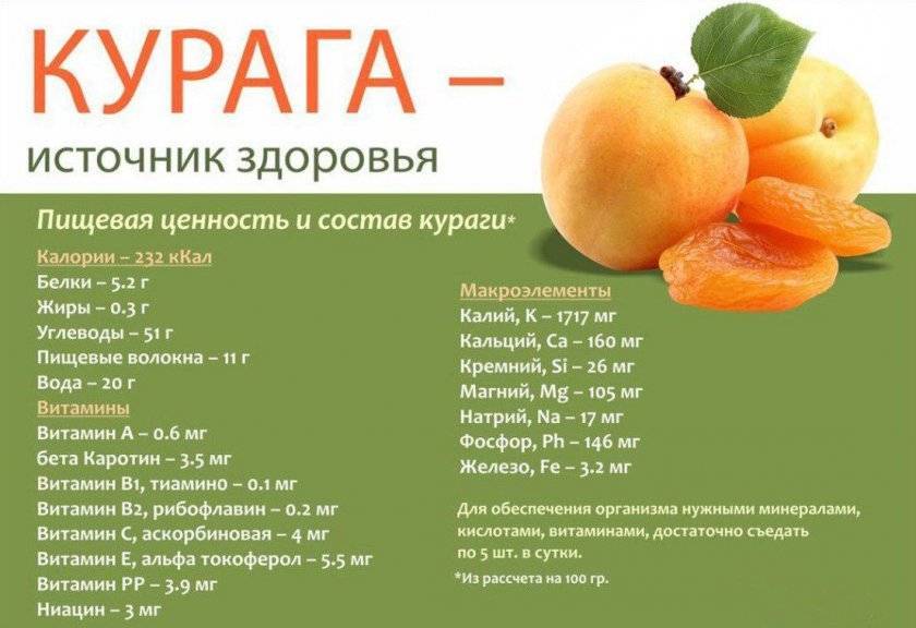 Польза и вред изюма для организма человека