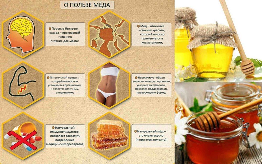 Что будет с медом если его нагреть. миф.  мёд нельзя нагревать. | здоровое питание