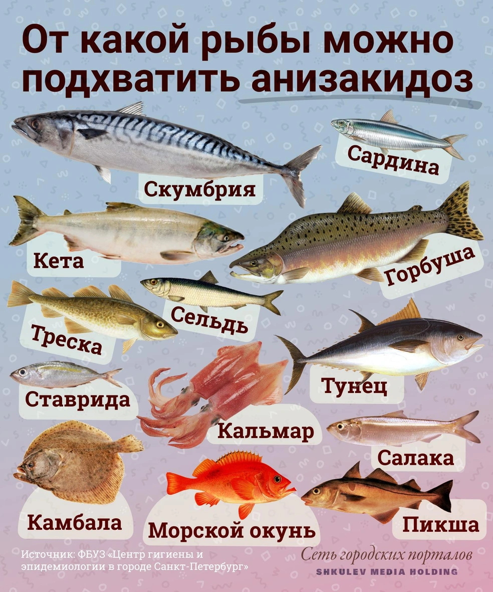 Глисты - 25 народных рецептов для избавления от паразитов