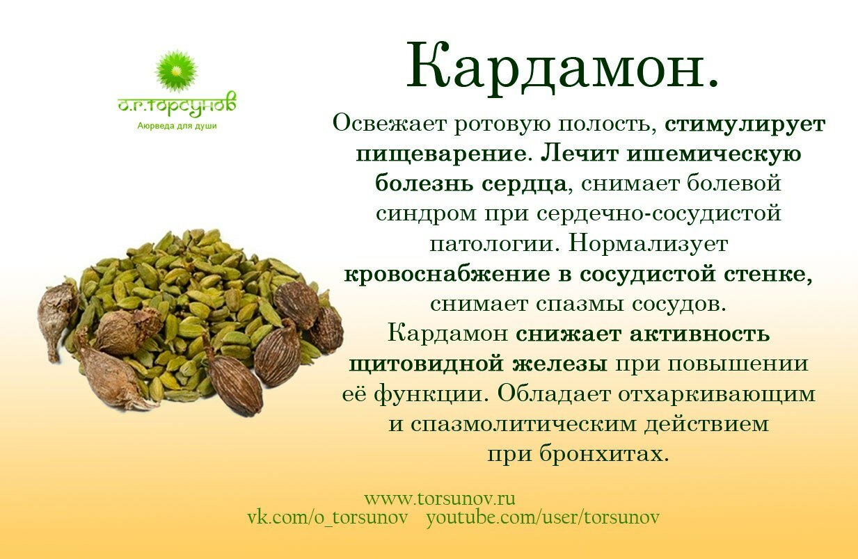 Что такое карри, что входит в состав пряной смеси и как она применяется в кулинарии