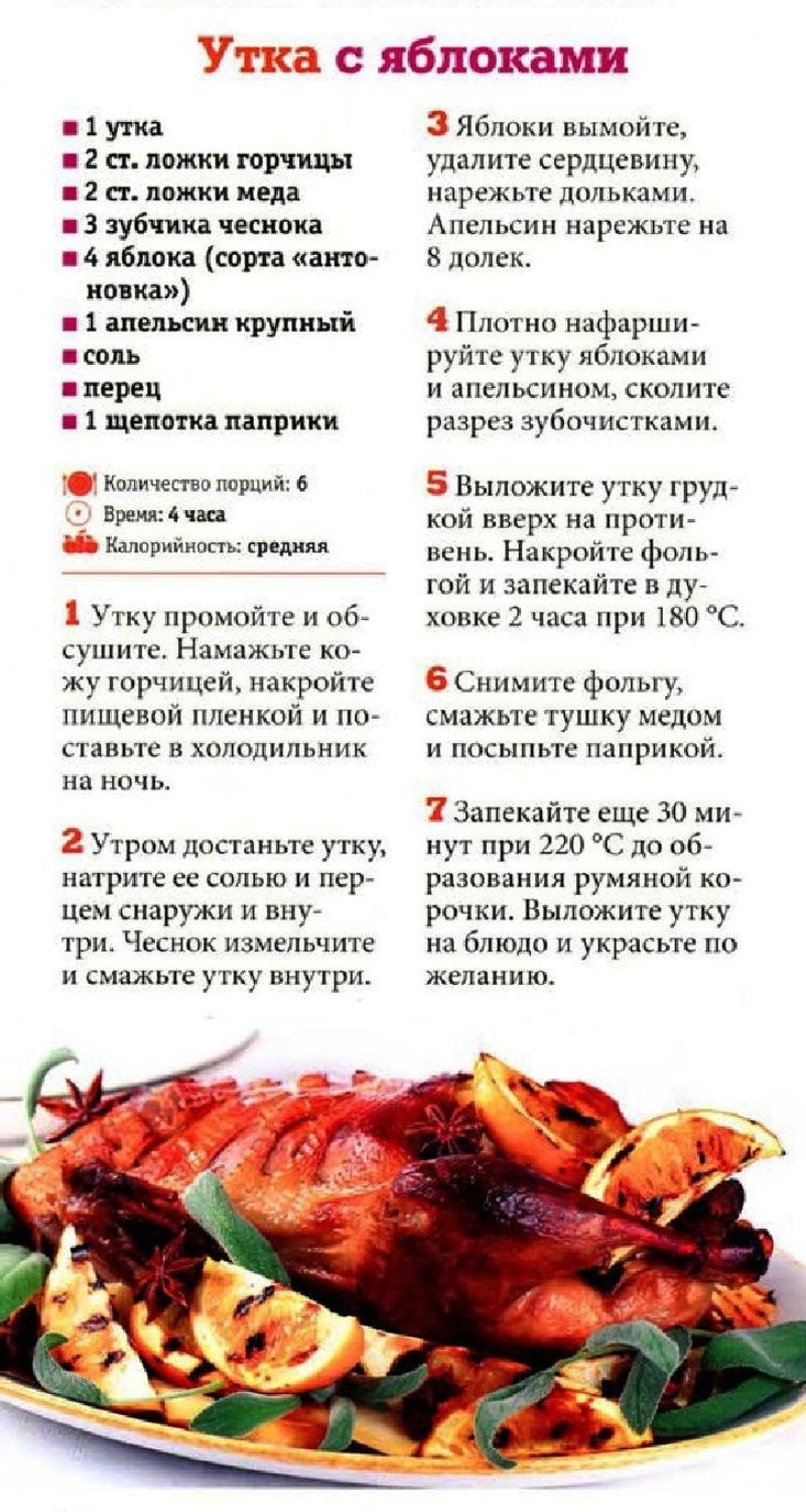 Дикая утка польза и вред. мясо утки: польза и вред, состав и калорийность | секреты здоровья