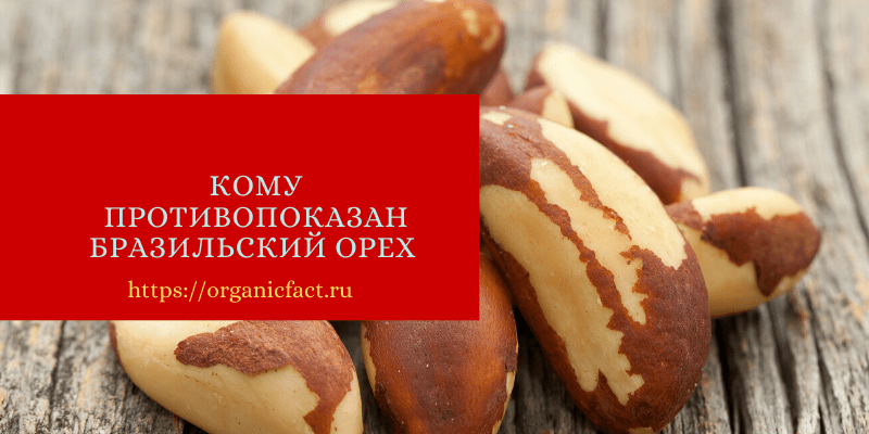 Бразильский орех — полезные свойства и противопоказания, вред для женщин и мужчин