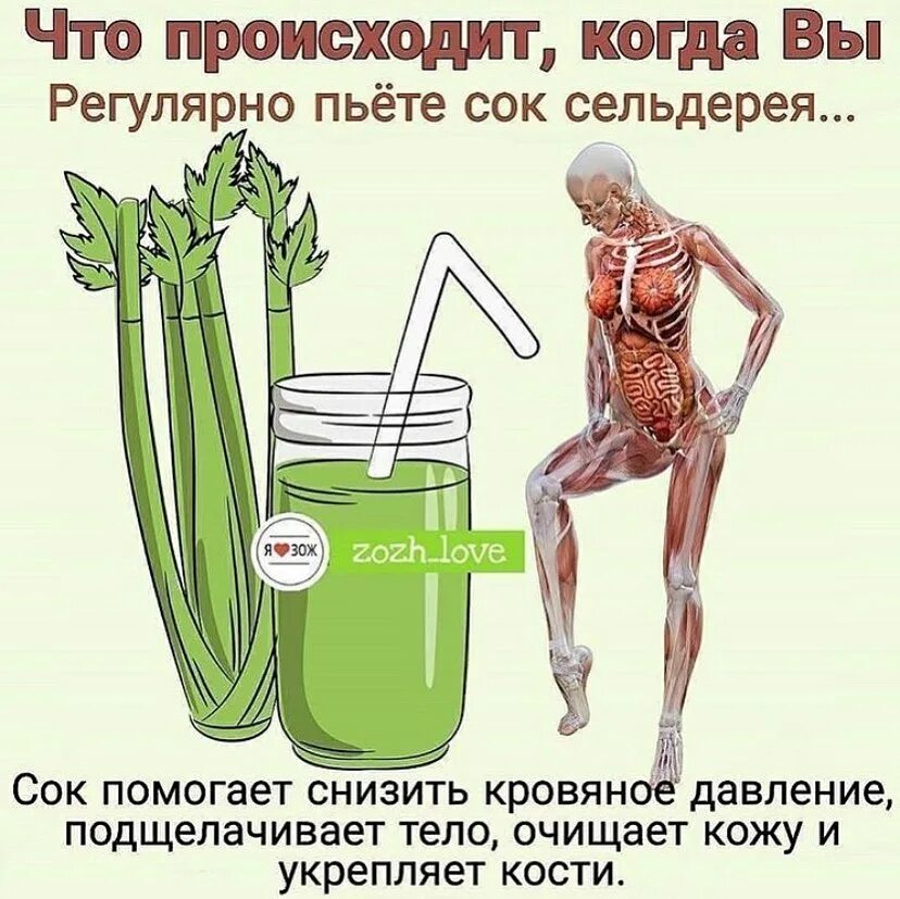 Смузи из сельдерея - 6 пошаговых рецептов приготовления с фото