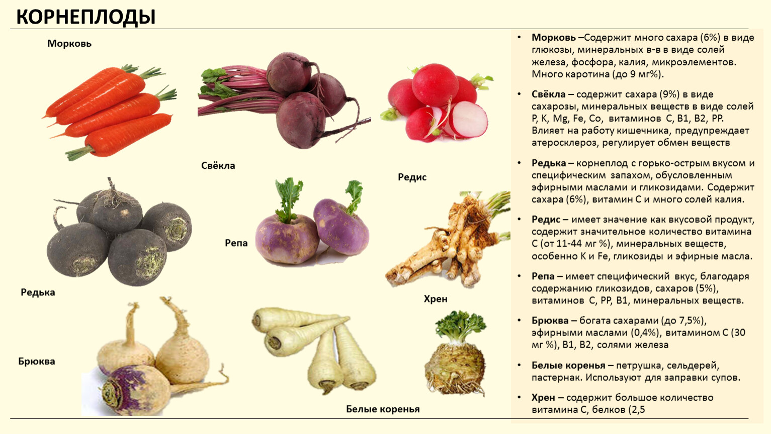 Картофель: калорийность, польза и вред для здоровья
