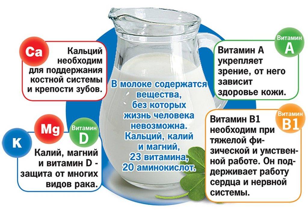 Как правильно выбрать молоко - практические советы