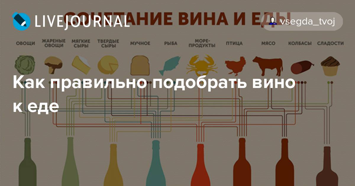 Что едят с вином - лучшие сочетания, рецепты приготовления легких блюд и как правильно подавать