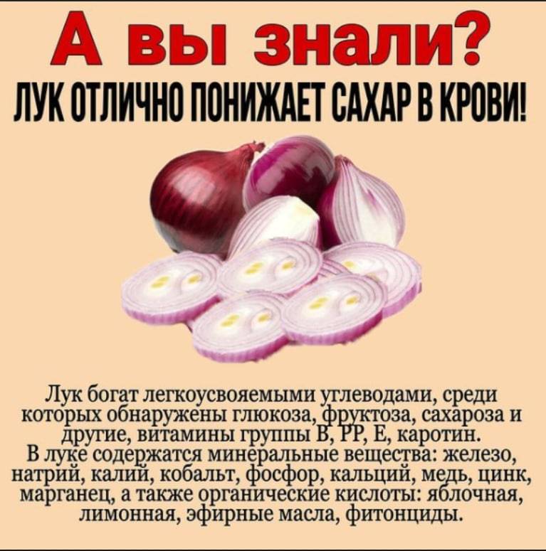 Лук: польза и вред для здоровья организма человека
