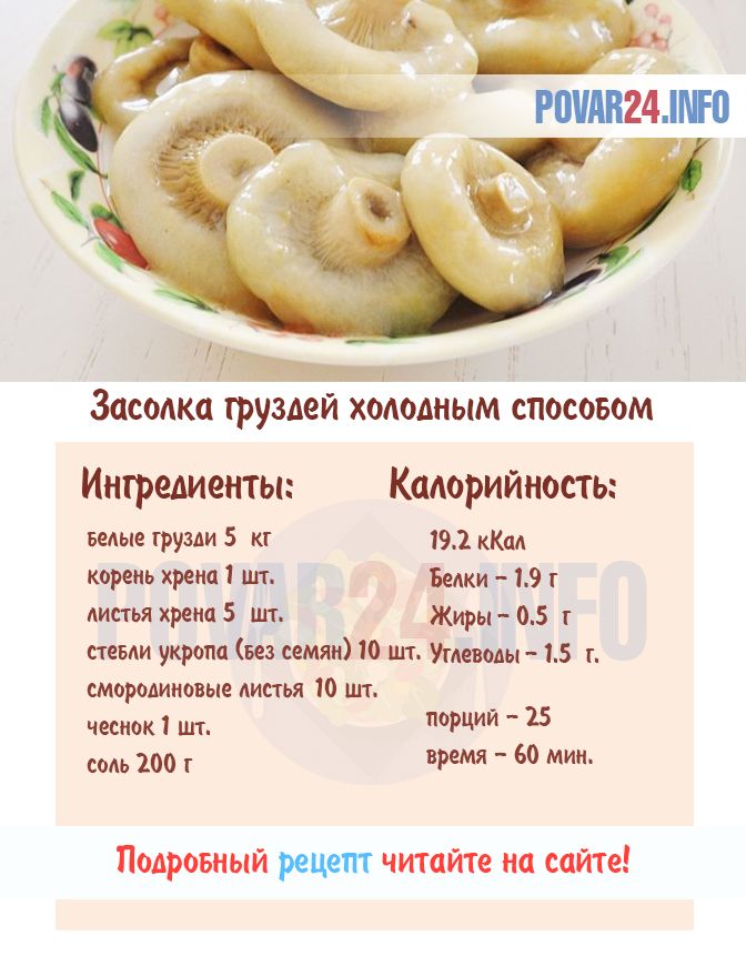 Маринованные грузди на зиму в банках: 12 лучших рецептов приготовления с фото