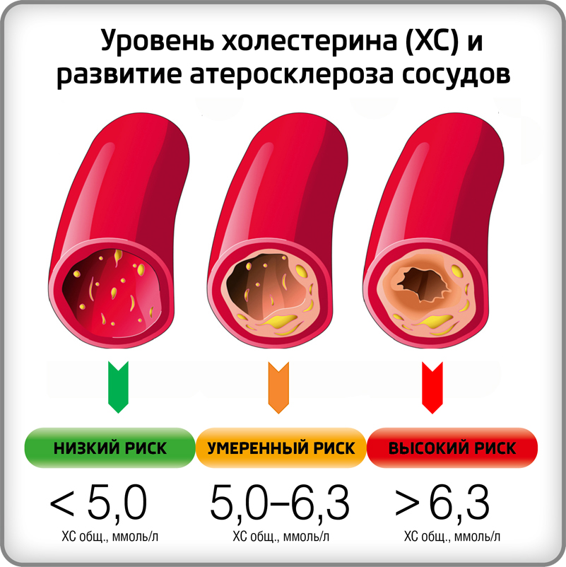 Красный рис от холестерина: лечение и профилактика