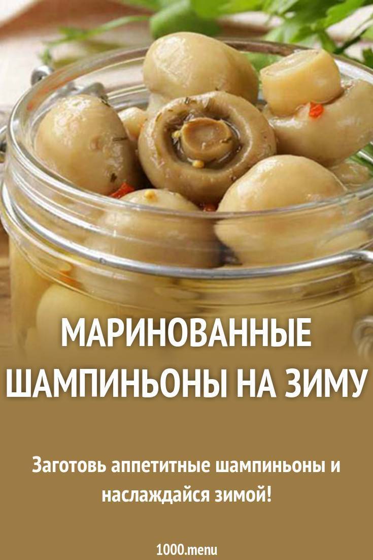 Рецепты быстрой засолки шампиньонов на зиму в домашних условиях