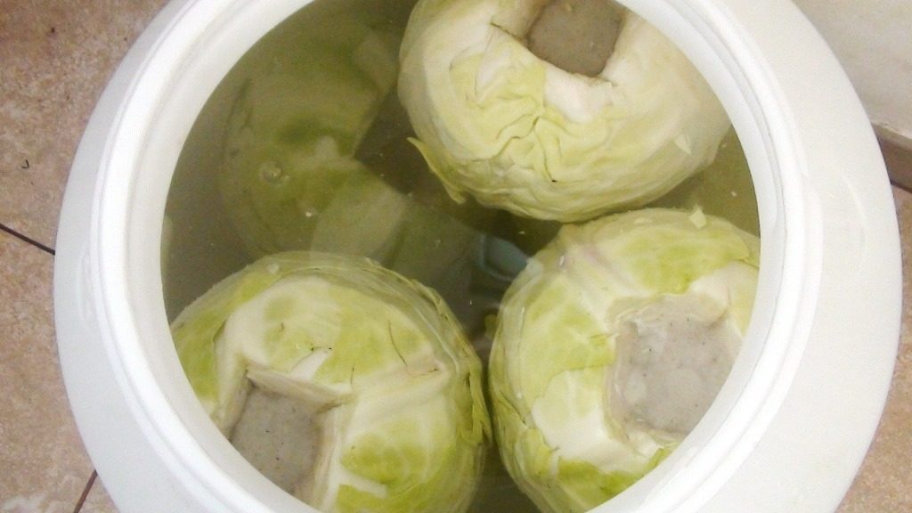 Квашеная капуста на зиму: 10 простых и очень вкусных рецептов приготовления, когда готовить